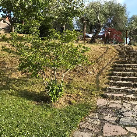 Апартаменты La Casa Fra Gli Ulivi Леричи