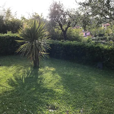 La Casa Fra Gli Ulivi * Леричи